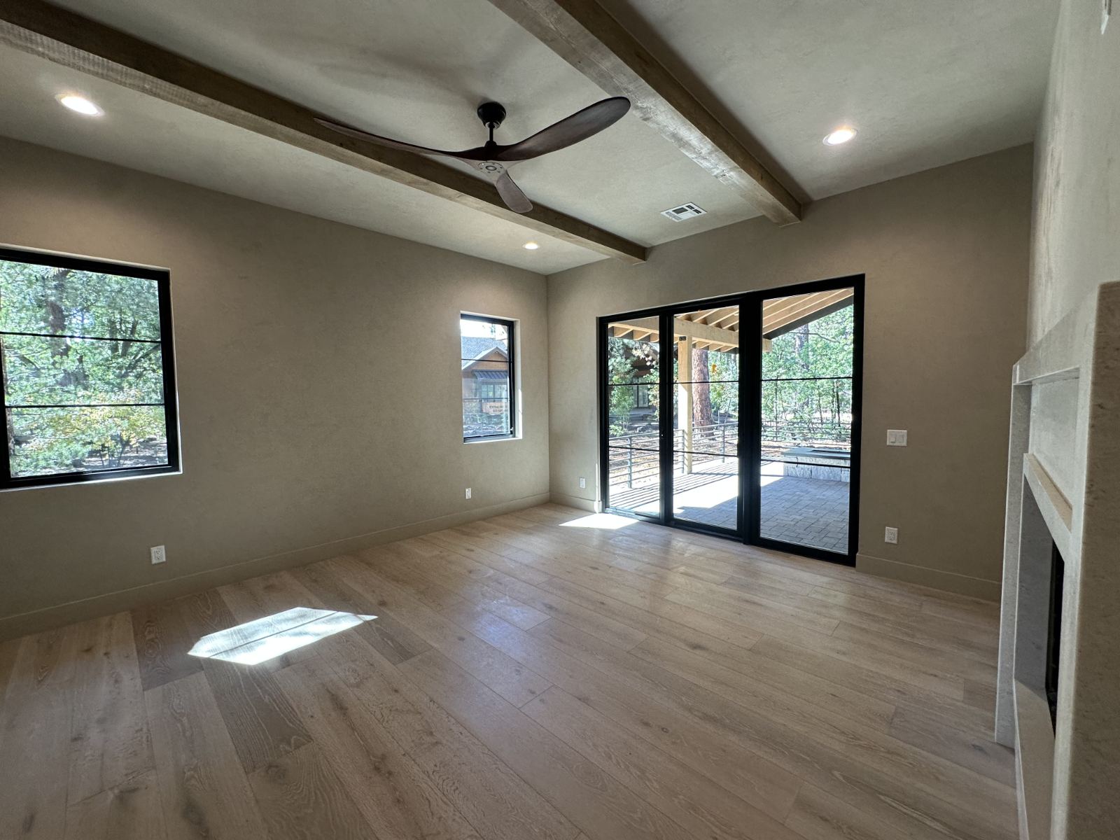 Roman clay media room walls and ceiling, Phoenix